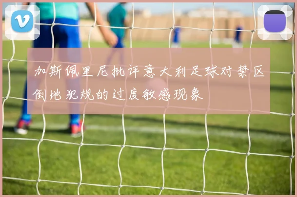 加斯佩里尼批评意大利足球对禁区倒地犯规的过度敏感现象